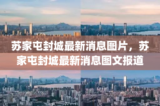 苏家屯封城最新消息图片,苏家屯封城最新消息图文报道中山市多米克自动化设备有限公司