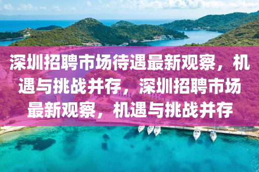 深圳招聘市场待遇最新观察,机遇与挑战并存,深圳招聘市场最新观察,机遇与挑战并存中山市多米克自动化设备有限公司