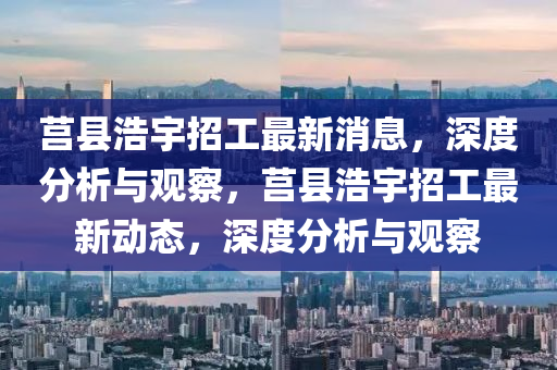 莒县浩宇招工最新消息，深度分析与观察，莒县浩宇招工最新动态，深度分析与观察中山市多米克自动化设备有限公司
