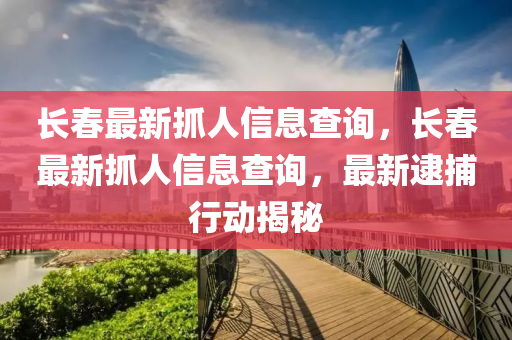 长春最新抓人信息查询,长春最新抓人信息查询,最新逮捕行动揭秘中山市多米克自动化设备有限公司