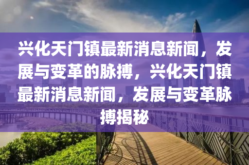 兴化天门镇最新消息新闻，发展与变革的脉搏，兴化天门镇最新消息新闻，发展与变革脉搏揭秘中山市多米克自动化设备有限公司