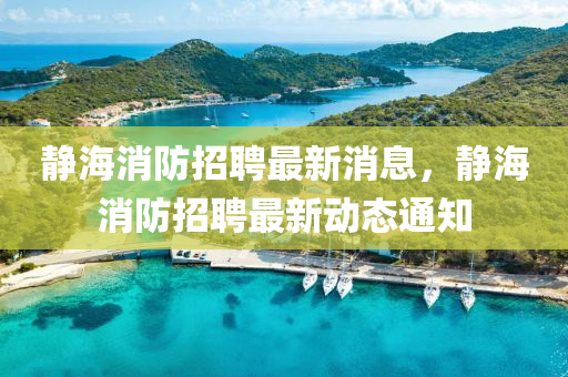 静海消防招聘最新消息,静海消防招聘最新动态通知中山市多米克自动化设备有限公司