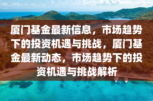 厦门基金最新信息,市场趋势下的投资机遇与挑战,厦门基金最新动态,市场趋势下的投资机遇与挑战解析中山市多米克自动化设备有限公司