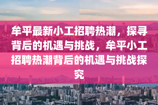 牟平最新小工招聘热潮,探寻背后的机遇与挑战,牟平小工招聘热潮背后的机遇与挑战探究中山市多米克自动化设备有限公司