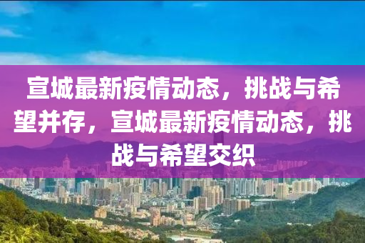宣城最新疫情动态,挑战与希望并存,宣城最新疫情动态,挑战与希望交织中山市多米克自动化设备有限公司