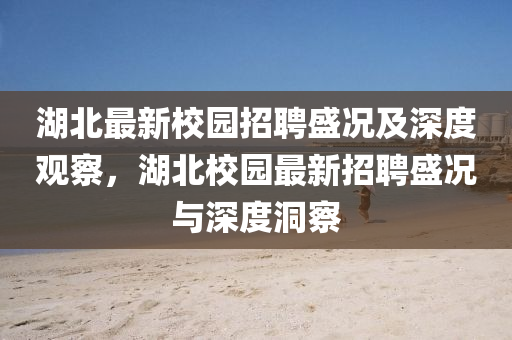 湖北最新校园招聘盛况及深度观察,湖北校园最新招聘盛况与深度洞察中山市多米克自动化设备有限公司
