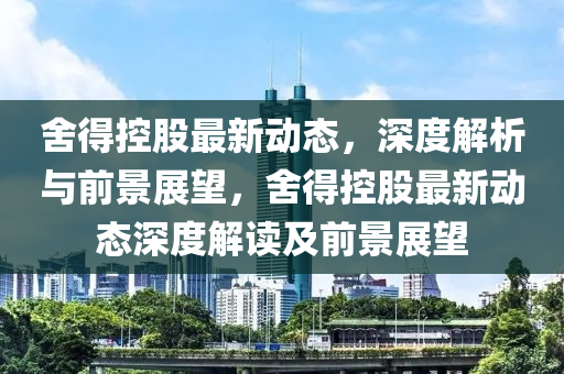 舍得控股最新动态，深度解析与前景展望，舍得控股最新动态深度解读及前景展望中山市多米克自动化设备有限公司